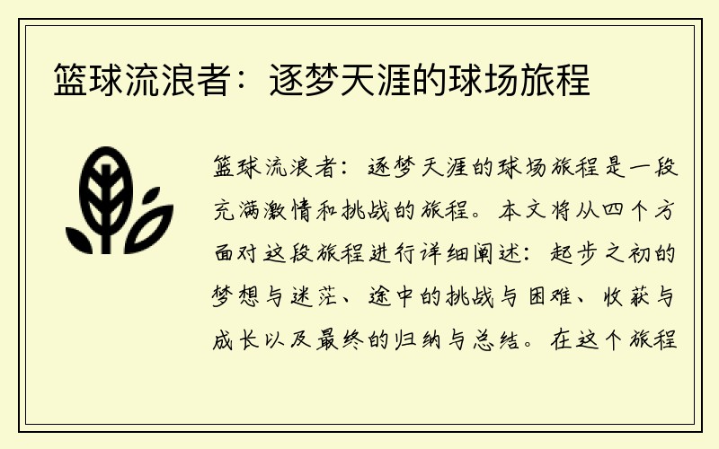 篮球流浪者：逐梦天涯的球场旅程
